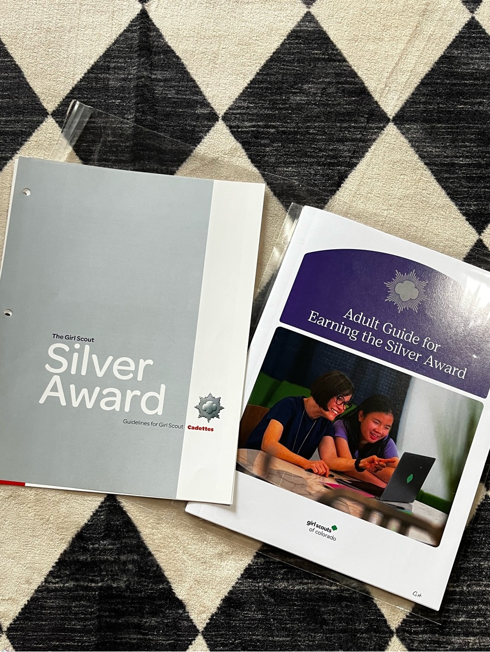 Girl Scout Silver Award Guidebook Set